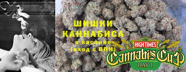 соль ск Великий Новгород
