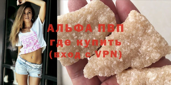 амф Кострома