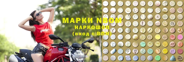 амф Кострома