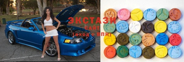 амф Кострома