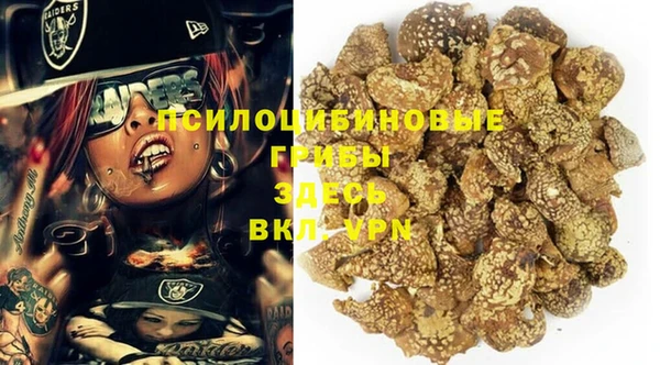 соль ск Великий Новгород
