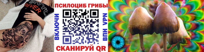 Галлюциногенные грибы Psilocybe Арск