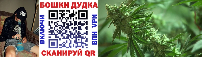 Канабис планчик Арск